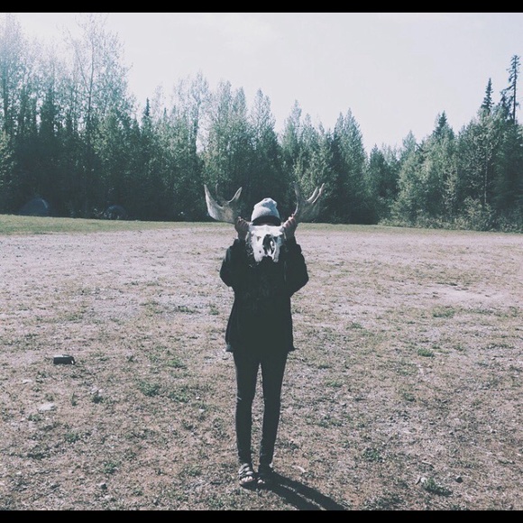 MEET THE POSHER! - Picture 4 of 4